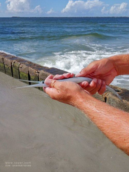 用水文監(jiān)測(cè)站助力鱔魚(yú)養(yǎng)殖 用水文監(jiān)測(cè)站助力鱔魚(yú)養(yǎng)殖